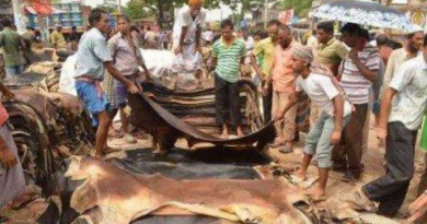 কোরবানির চামড়া সংগ্রহে ব্যাংক ঋণ মাত্র ১৬০ কোটি টাকা